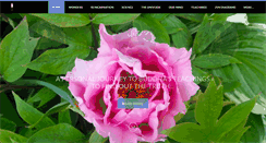 Desktop Screenshot of buddhasense.com